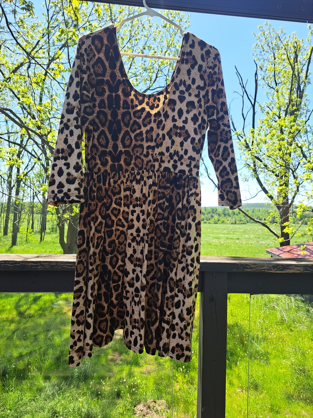Long Sleeve Leopard Print Women's Dress